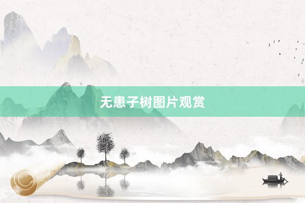 无患子树图片观赏