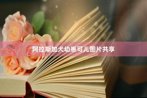 阿拉斯加犬幼崽可儿图片共享