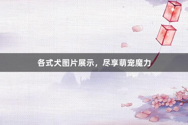 各式犬图片展示，尽享萌宠魔力